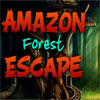 Amazon Forest Escape