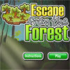 Escape from the forest