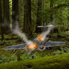 Plane crashed forest escape