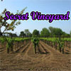 Secret Vineyard