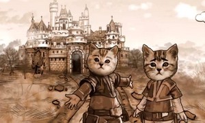 le royaume des chats